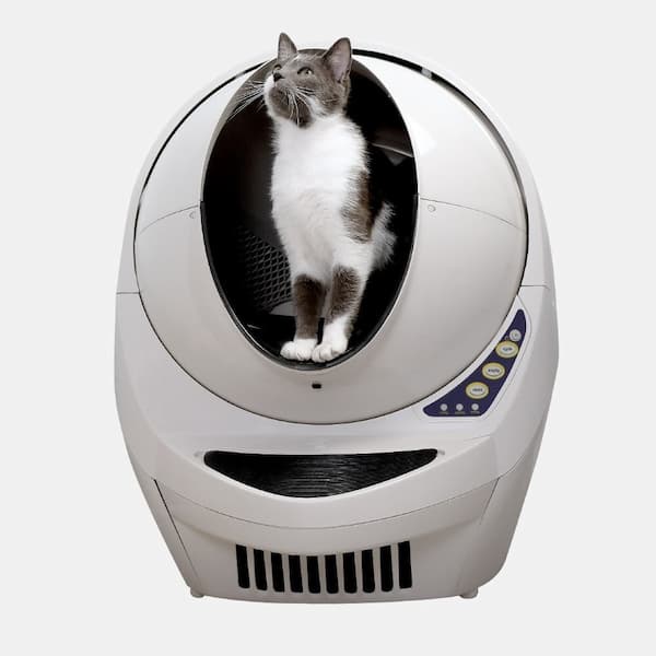 How to Clean Litter Robot An Easy Step-by-step Guide