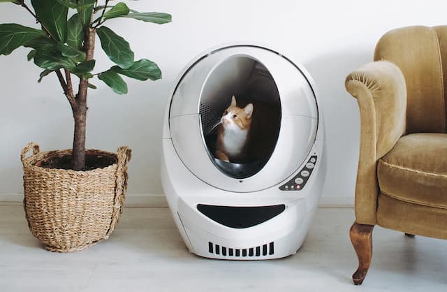 How to Clean Litter Robot An Easy Step-by-step Guide